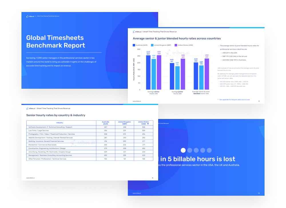 Global Hourly Rates Benchmark insight - Tribes.AI